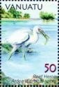Pacific Reef Heron (Egretta sacra)
